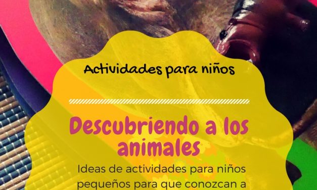 Descubriendo a los animales