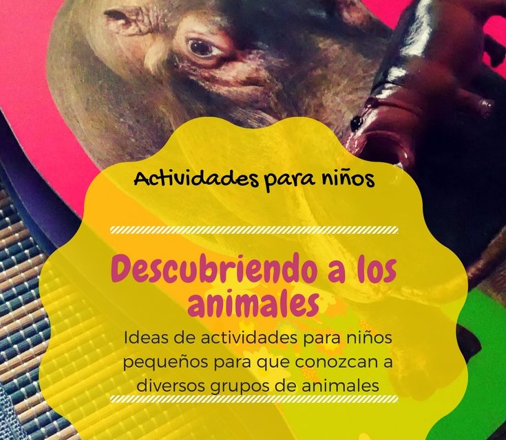 Descubriendo a los animales