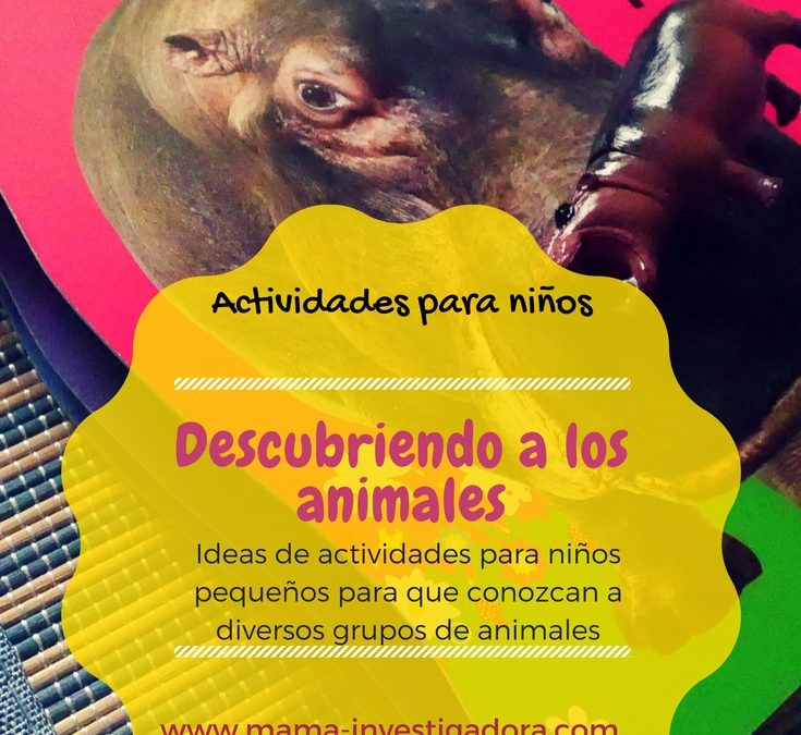 Descubriendo a los animales