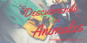 descubriendo_animales