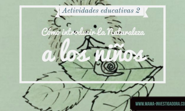 Juegos educativos –  cómo  Introducir la naturaleza  a los niños