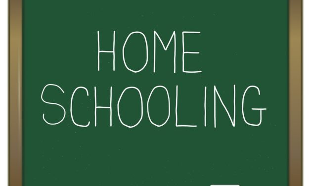 Escuela en casa o homeschooling cómo empezar