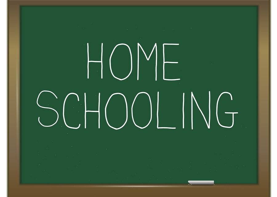 Escuela en casa o homeschooling cómo empezar