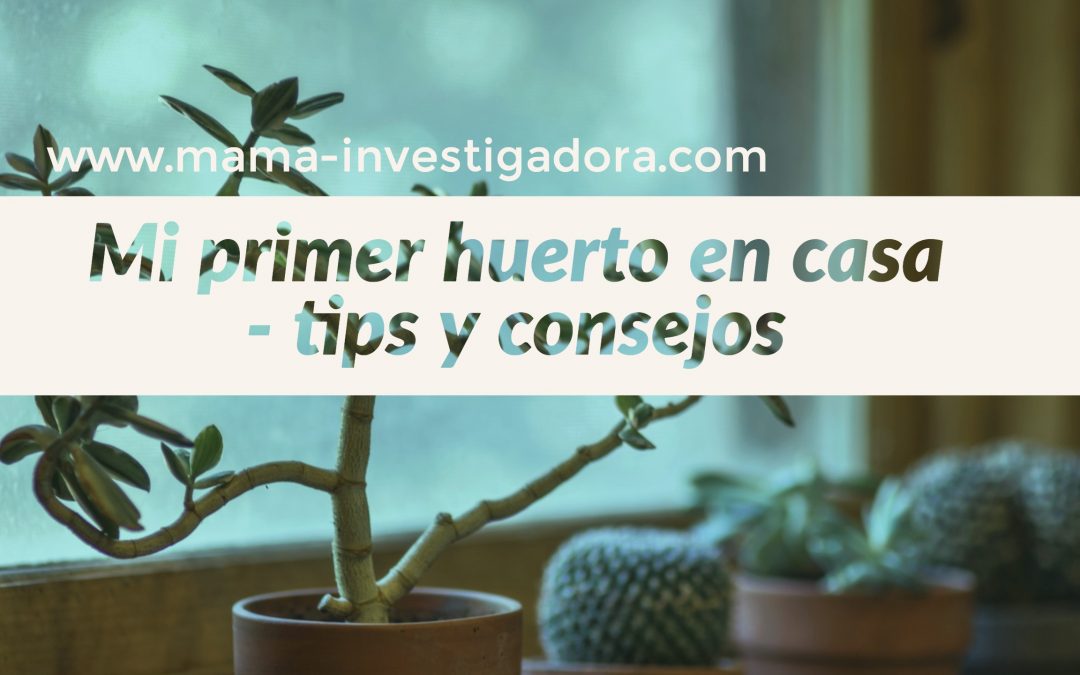 mi primer  huerto en casa : tips y consejos – Actividades para niños