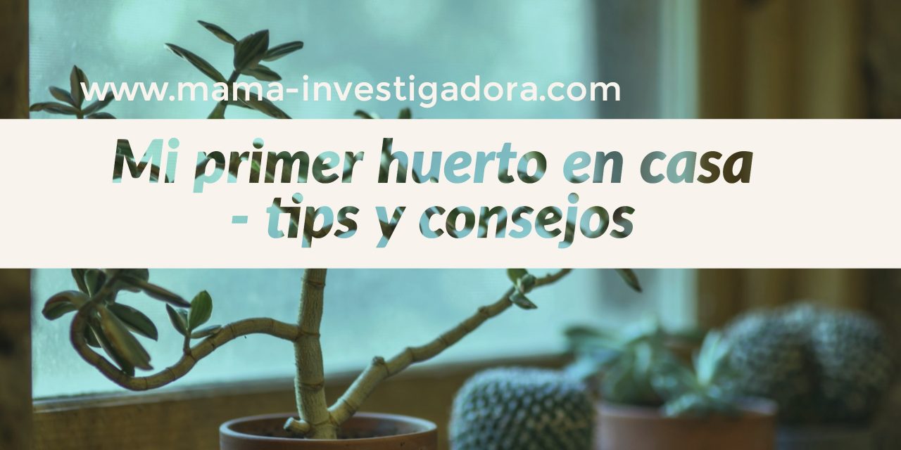 mi primer  huerto en casa : tips y consejos – Actividades para niños