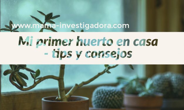 mi primer  huerto en casa : tips y consejos – Actividades para niños