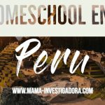 Homeschool en Perú -Lo disponible y cómo hacerlo