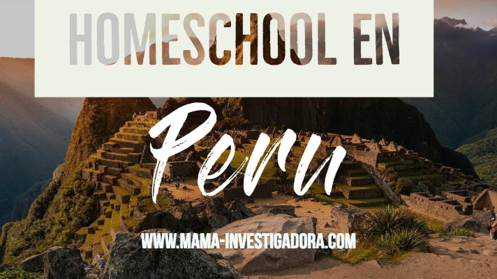 Homeschool en Perú -Lo disponible y cómo hacerlo