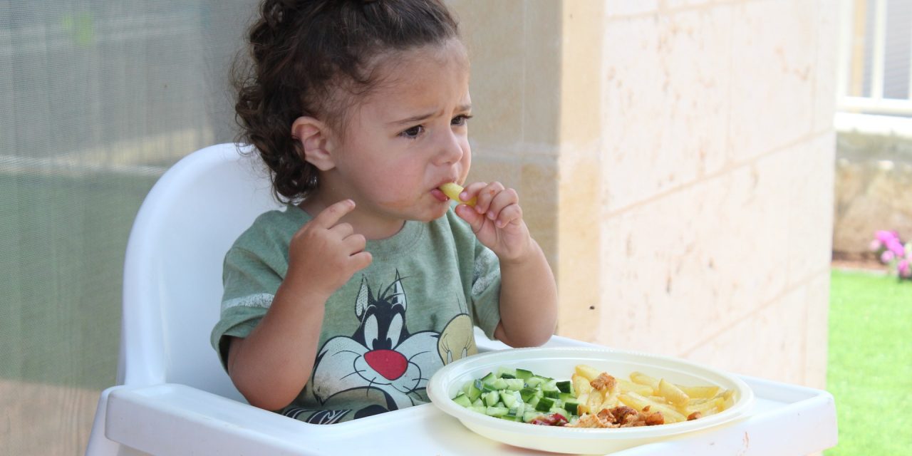 Las mejores papillas para bebe