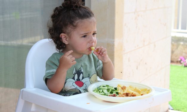 Las mejores papillas para bebe