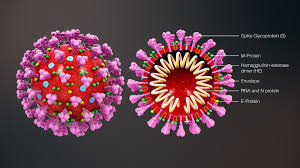 Recursos educativos para educar en casa en épocas de  Coronavirus